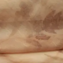 薄手透け感のあるテクスチャー！カラメルブラウンの葉柄染め化学繊維天絲生地【漢服用】
