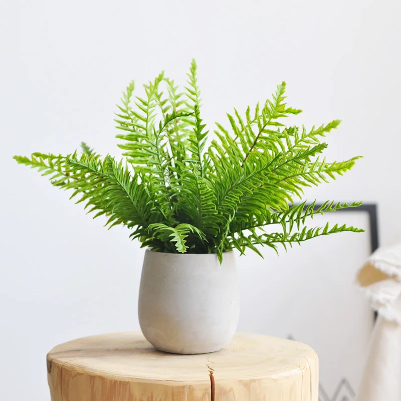 一人暮らし新生活をだけで揃えたら総額いくら？シダ植物風鉢の予算バランス徹底解説