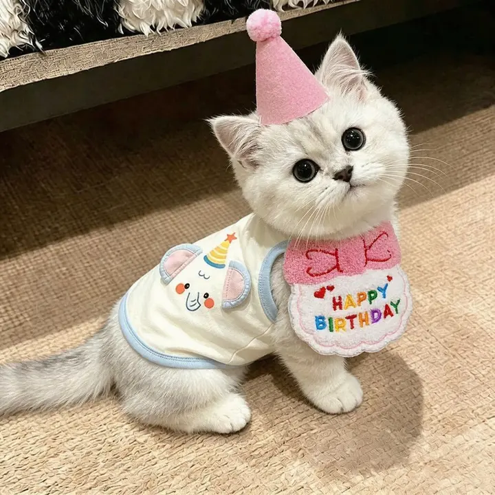 ペット用誕生日パーティー装飾【猫・犬・コーギー・テディベア・撮影用小物】（セットアップ対応）