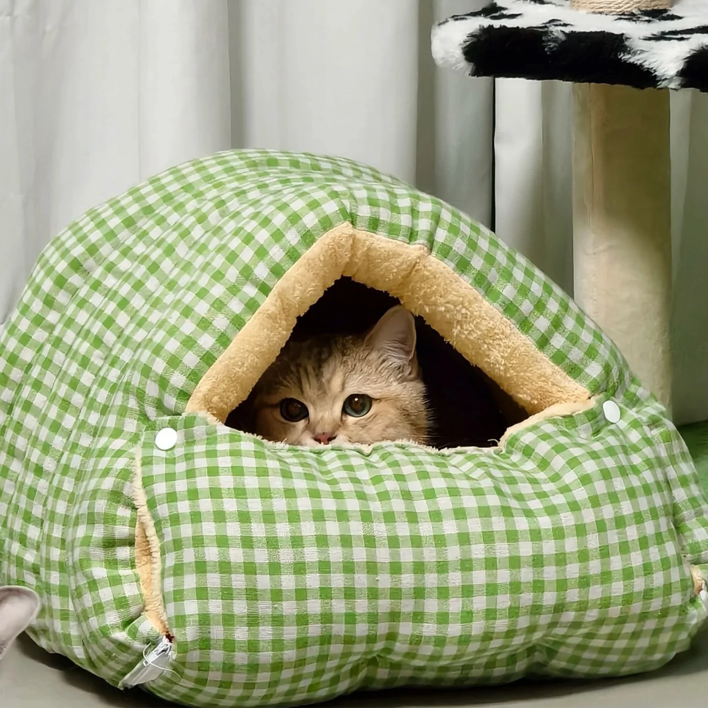 冬用猫用ハウス：一人暮らしに最適な保温型寝室の実用性と設置ガイド