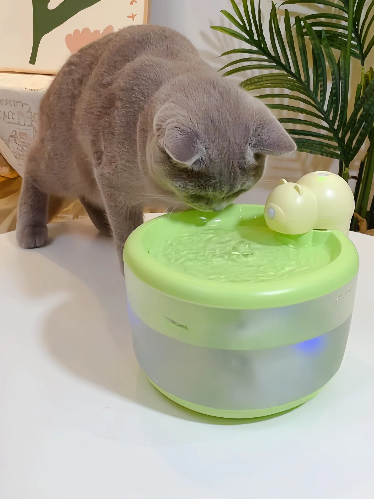 自動循環式猫用給水器：24時間恒温加熱とフィルター付きの実用性解析