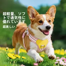 中小型犬用透気性ハーネス付リード【調整可能・コーギー・ビションフリーゼ対応】