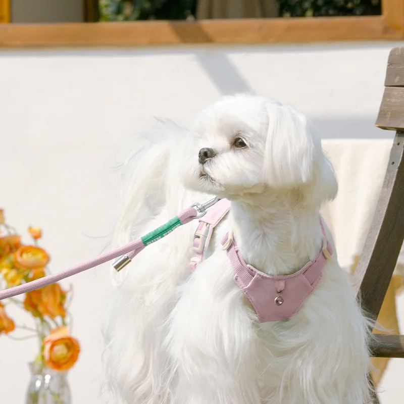 犬のお散歩グッズをコスパ良く揃える方法｜ナデシコパウダー付きリードの選び方徹底解説