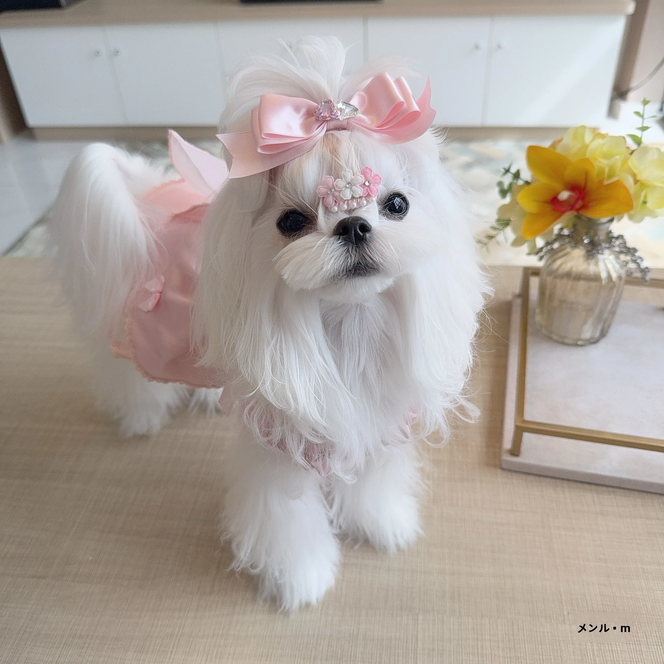犬の毛アクセサリーとしてのヘアクリップ クリームピンク フリンジデザイン カエル形