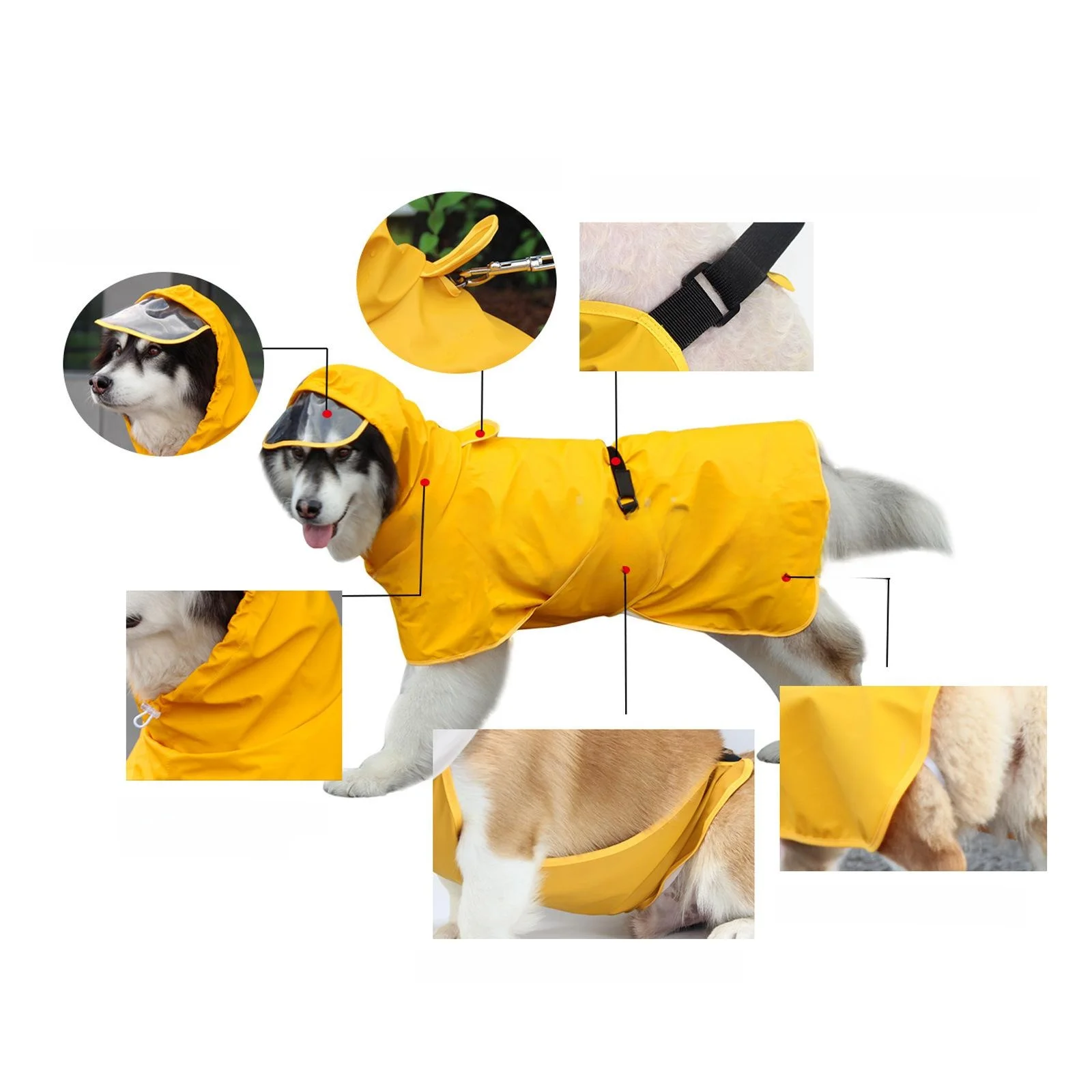 犬のお散歩グッズをコスパ良く揃える方法｜全包覆レインコートでコストパフォーマンスを徹底解説