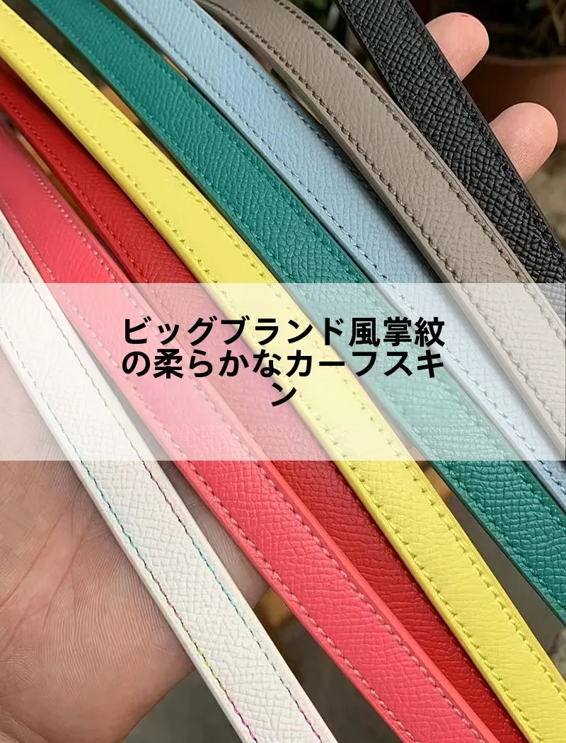 犬のお散歩グッズをコスパ良く揃える方法｜本革リードの選び方と色 の使い分け徹底解説