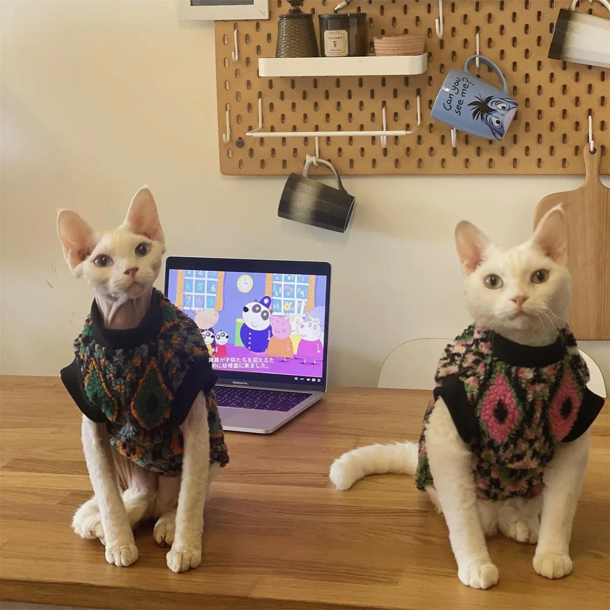 秋冬用 スフィンクス猫服：北欧風デザインの厚手羊毛フリースで寒さ対策