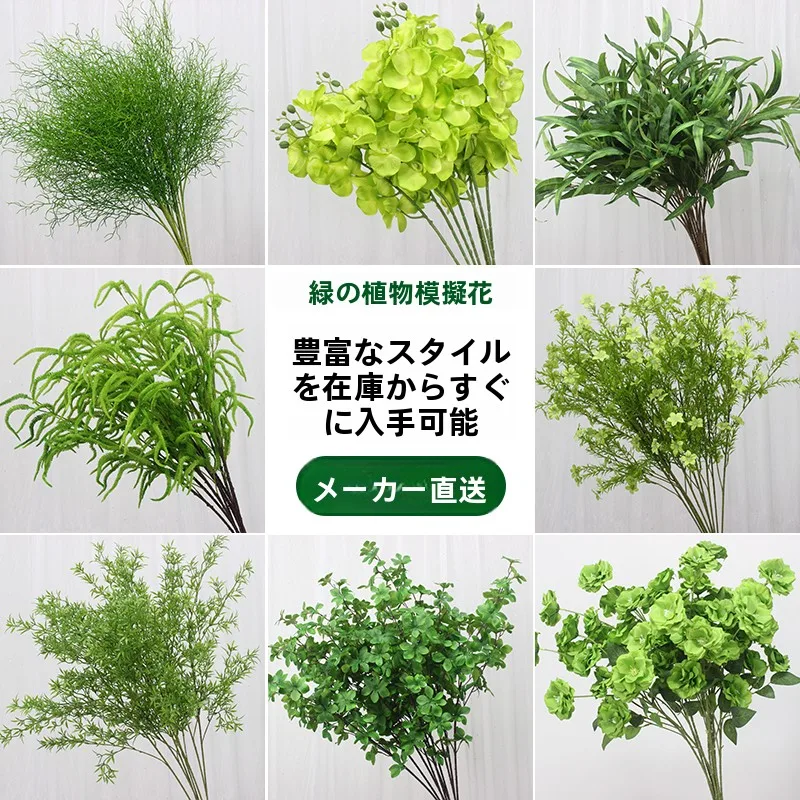 梅雨に備えて買うべき！完全ガイド：自然なリラックス感を演出するグリーン植物の選び方