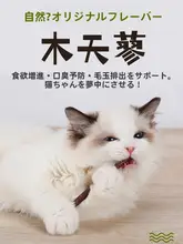 猫用歯磨き棒【木製・子猫向け・天然ミント・おもちゃ・おやつ】