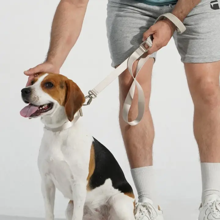 ペット用軽量合金カラー＆伸縮リード【大型犬・中型犬・小型犬用・外出用】