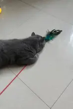 猫用カラフルフェザー付きおもちゃ【インタラクティブロングポール・子猫用】