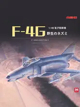 US F4G野鼬鼠電子戦攻撃機【組み立て式プラモデル・高詳細設計】