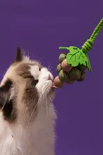 猫用薄荷ボールおもちゃ【遊び心満載・耐噛性・歯磨き棒】