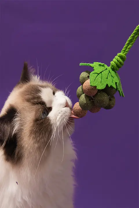 猫用薄荷ボールおもちゃ【遊び心満載・耐噛性・歯磨き棒】