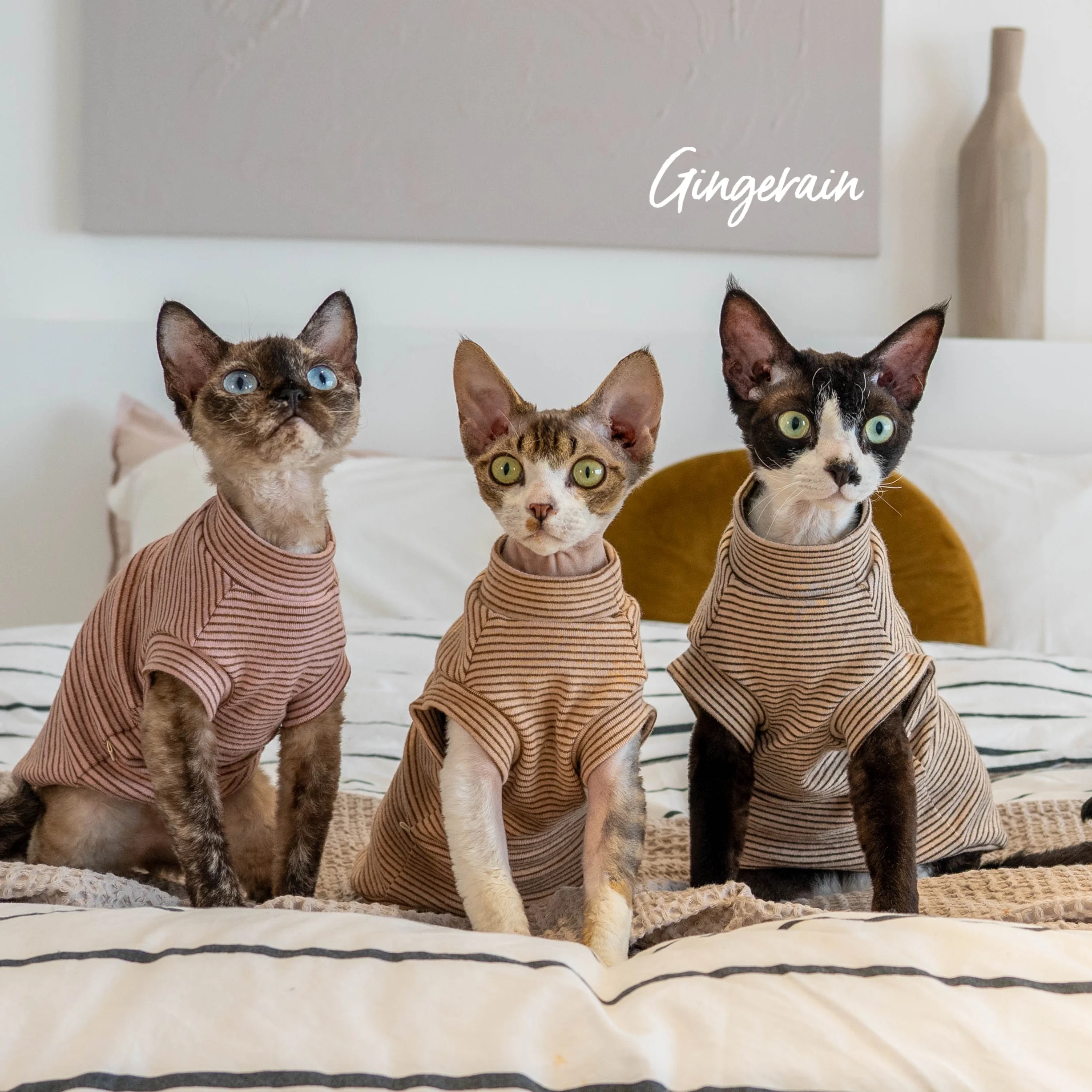 GINGERAIN ストライプデザイン猫用タンクトップ：無毛猫向けの保温性と快適性を実証