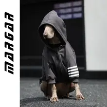 大型犬用 秋冬セーター【防毛・ゴールデ Retriever・ラブラドール・ハスキー対応・おしゃれデザイン】