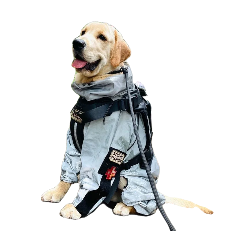 犬のお散歩グッズをコスパ良く揃える方法｜晴雨兼用アウトドアジャケットの実測ガイド