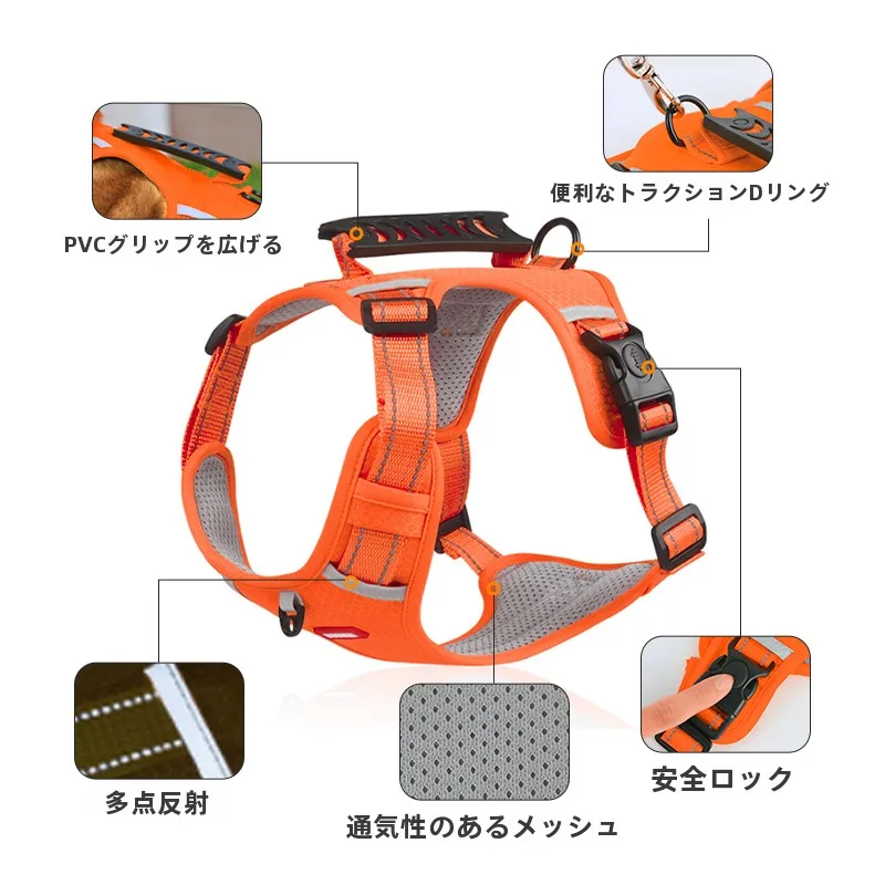 犬のお散歩グッズをコスパ良く揃える方法 - 小型犬用ハーネスリードの仕様と選定基準