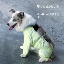 愛犬用防水防汚パンツ【四脚・お出かけ・雪納瑞犬用】