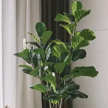 フェイツリー 大型植物 室内 家具 グリーン デコレーション