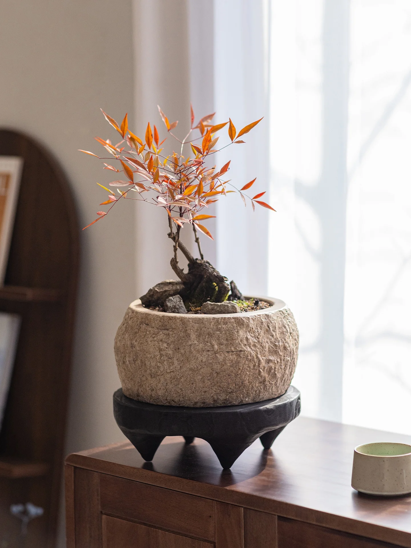 シンプルなコンクリート製フラワーポット：ほったらかしで毎年咲く花を育てるための家庭用プランター