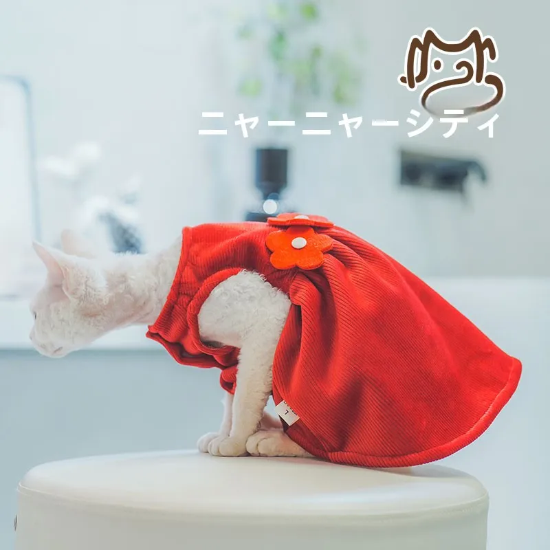 猫dollとは何か？実際の生活でどう活用するのか？