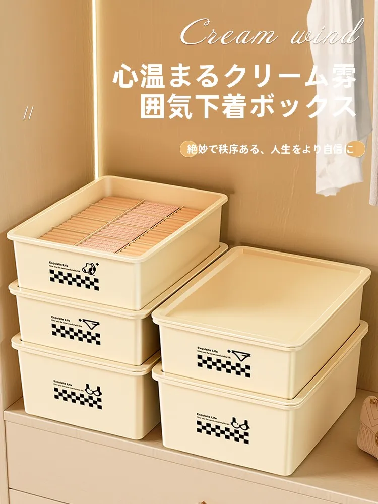 下着用収納ボックス：ストッキング収納の効率的解決策