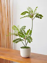 黄天竹の人工観葉植物【デスクトップ盆栽・インテリア装飾用】