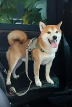 HiDREAM ペット用車載安全ベルト【調整可能・犬用・移動用】
