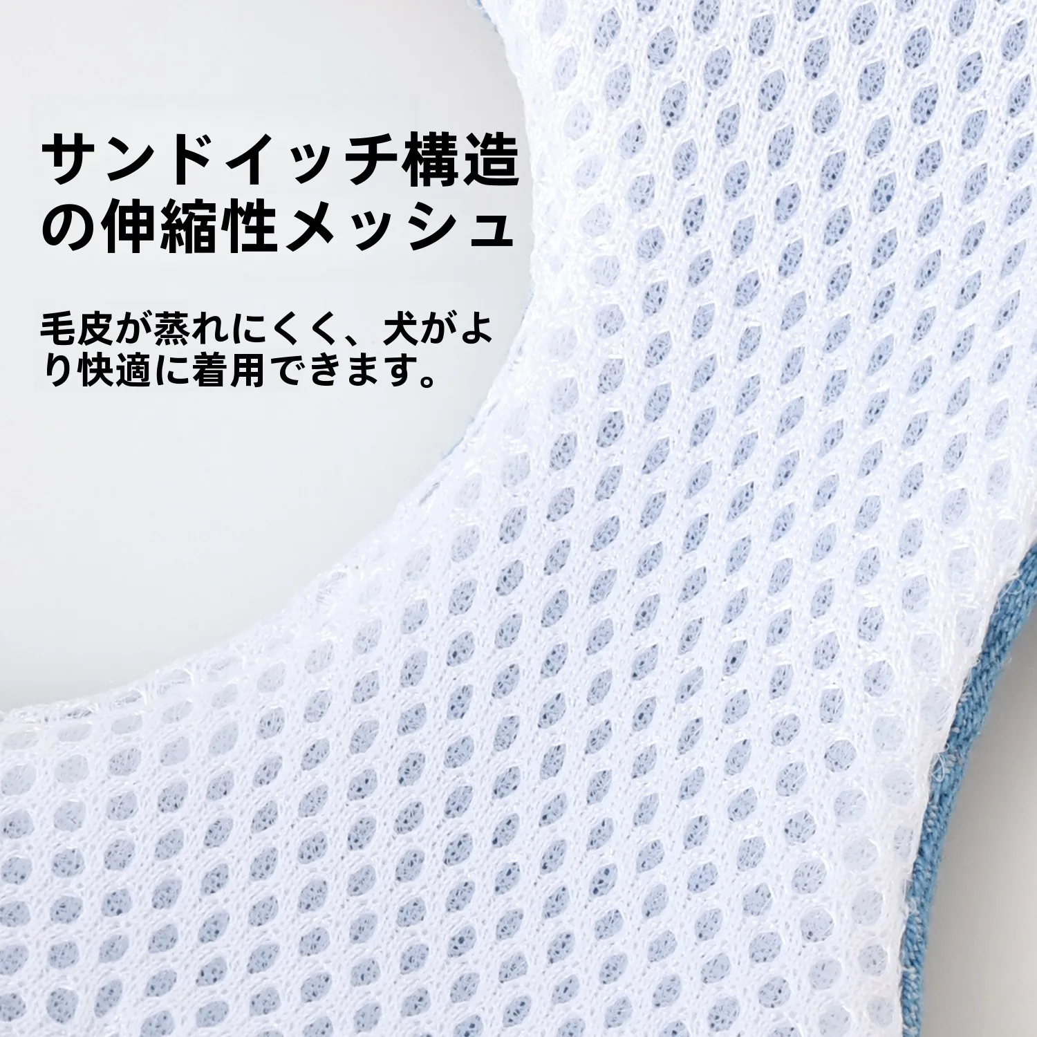 小型犬用ハーネス付きリード：軽量で通気性抜群のハッチミブランドが実際どうか