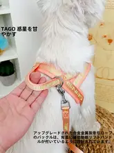 犬用 胸部ハーネスリード【防脱出・コーギー・ウエストハイランド・子犬対応】