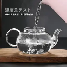 耐熱ガラス製 花茶用ティーポットセット【ステンレスフィルター・透明・厚手】