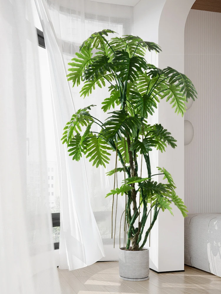 世話が苦手な人でも育てや すい観葉植物は、これだ！