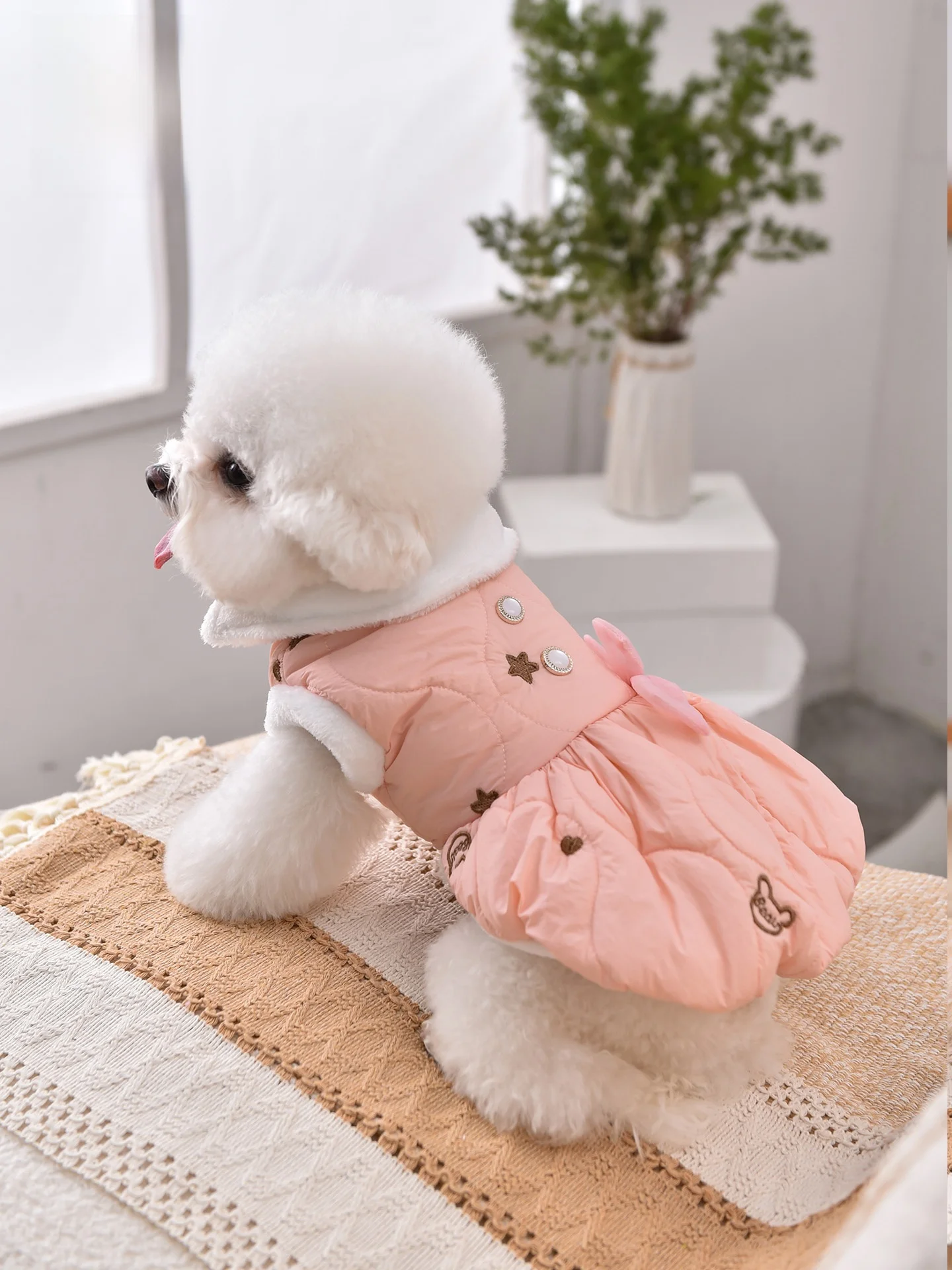 愛犬用プリンセスドレス：秋冬シーズンに最適な加絨連衣裙の実用性とサイズ選定ガイド