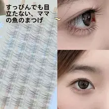 自然な仕上がりの魚尾型つけまつげ【非接着・初心者向け・単簇】