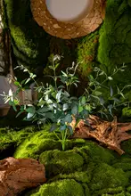 フェイクフラワー 草 生态的な壁面装飾 緑の植物 プラスチック素材 高級感あふれる