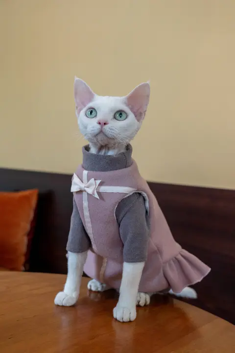 猫 ワンピース ベストギフト ウール フリース
