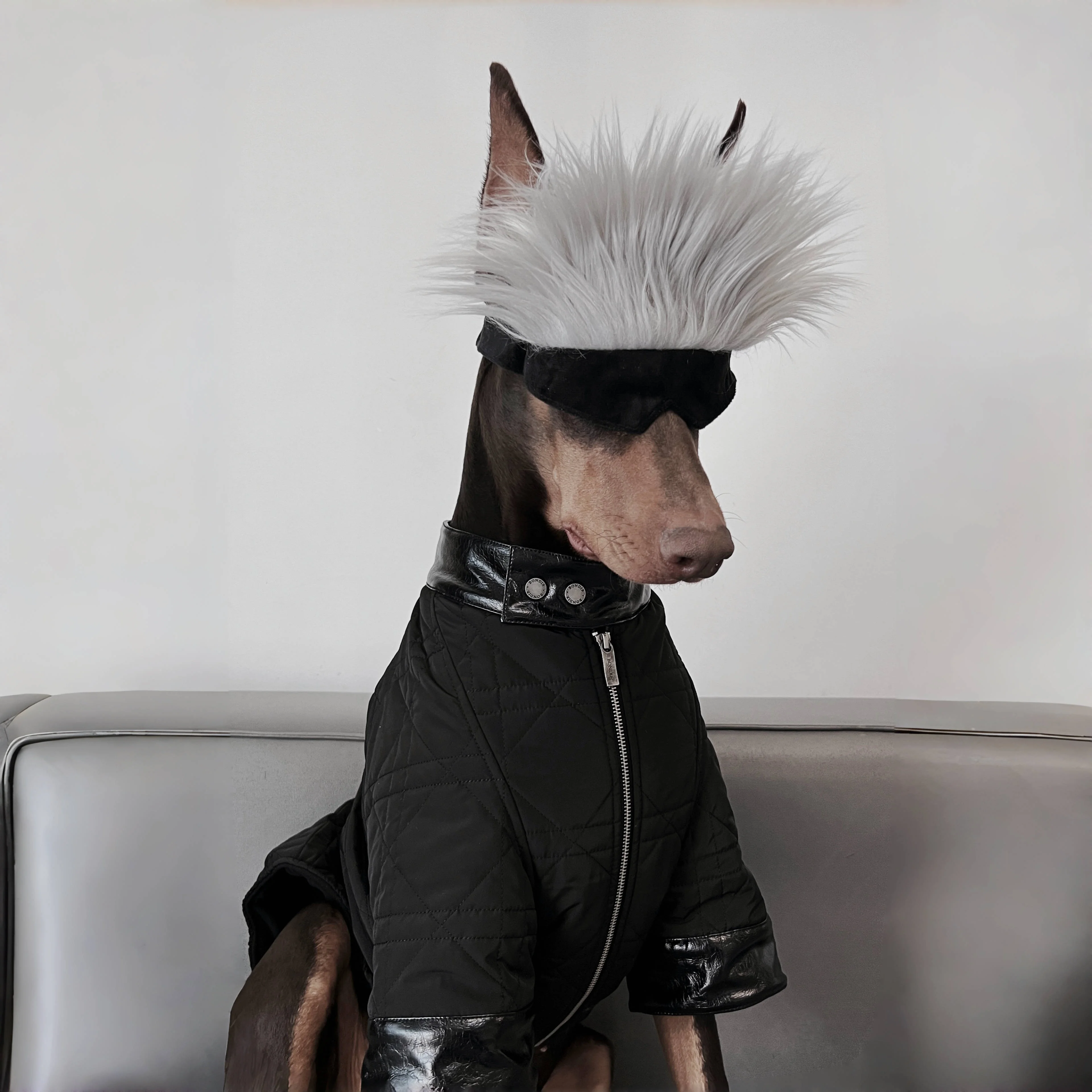 猫耳フードアイマスク：ハロウィン犬服としての実用性とデザイン特性
