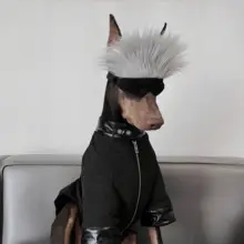 猫耳 フード アイマスク ペット コスプレ 帽子 犬服 面白い 装飾 撮影 サングラス