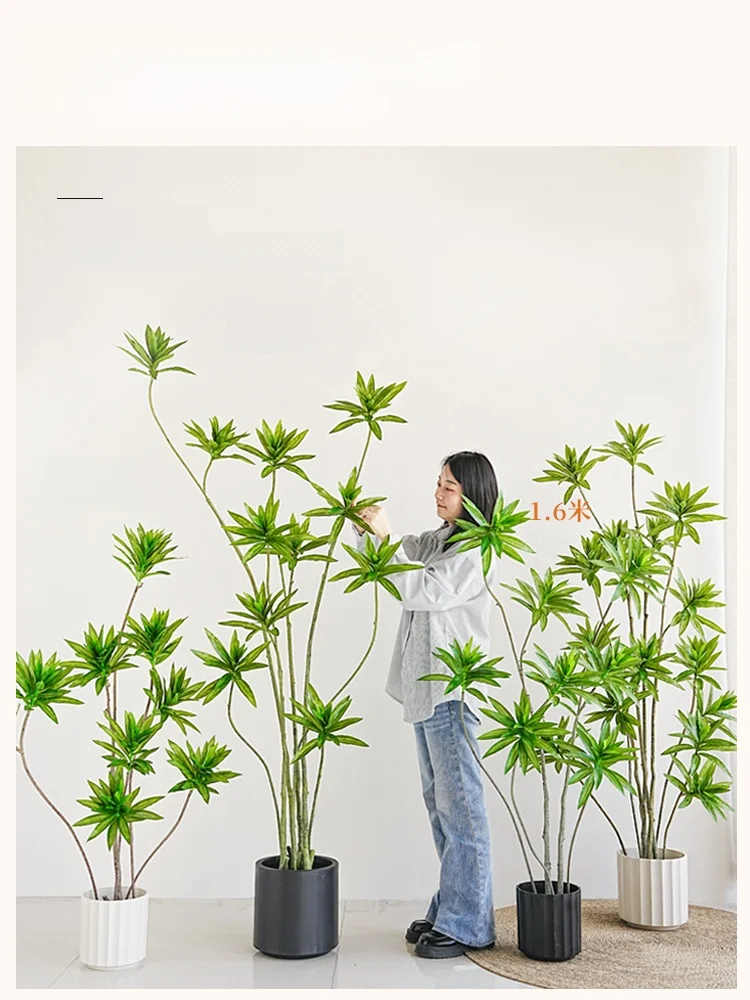 おうち時間に飽きない趣味は、この1つの「植物」に決まっている？