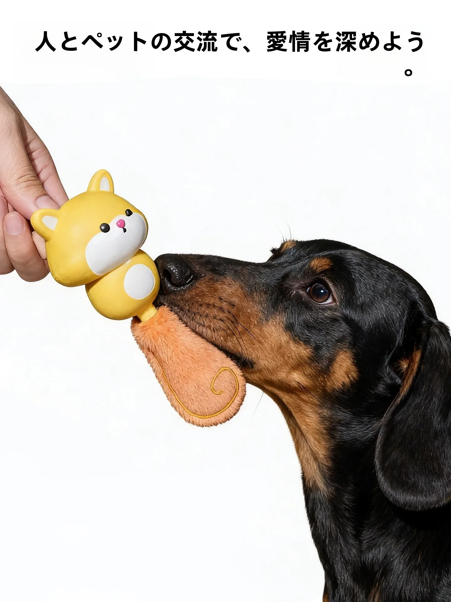 長く使えるおもちゃって、どんなもの？犬に届けたい「癒しの発声」がここに