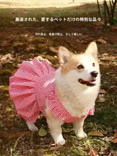 犬用春夏用タンクトップ【防晒・毛が抜けにくい・リード対応】（セットアップ対応）
