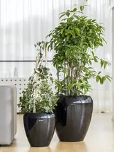 自吸水仕様の大口径植木鉢【樹脂製・多肉植物や観葉植物用】