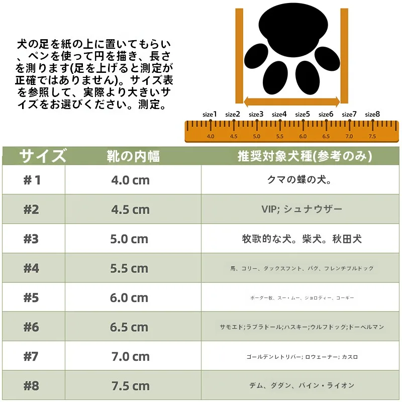 犬のお散歩グッズをコスパ良く揃える方法　通気性と防水性のバランスを徹底解説
