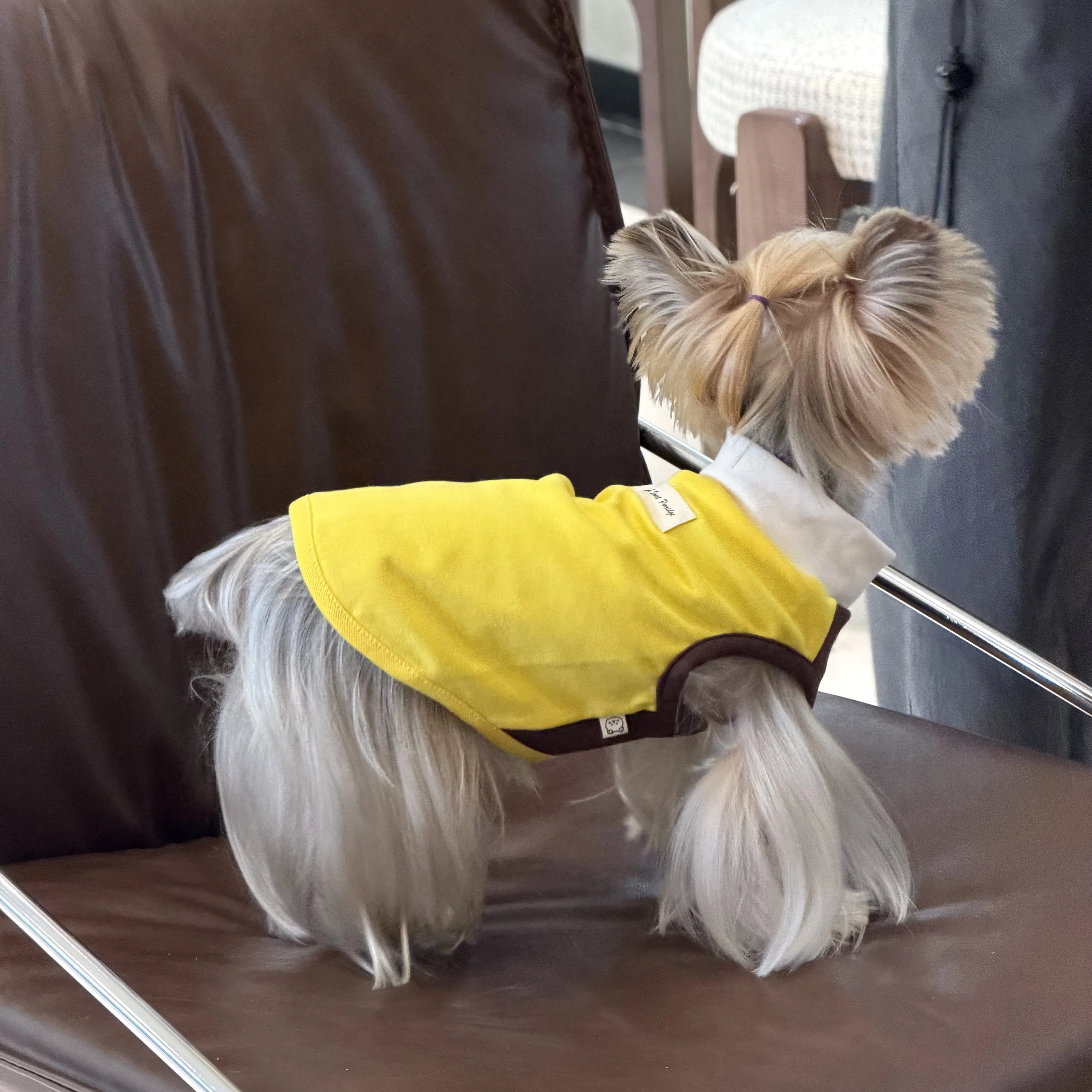 春夏用ペット服：小型犬用バイカラーストレッチ背心の実用性とサイズガイド