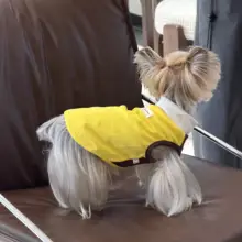 春夏用ペット服【犬用・バイカラー・ストレッチ素材・小型犬用】（セットアップ対応）