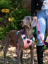 ペット ハーネス 中型 大型犬 用 防爆 引張可能 ベスト タイプ 散歩用リード