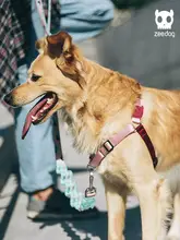 防爆ハーネス【中型から大型犬用・柴犬・コーギー・フレンチブルドッグ対応】
