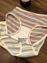 ストライプ柄のコットン製女性用中腰パンツ【抗菌・通気性・三角型】