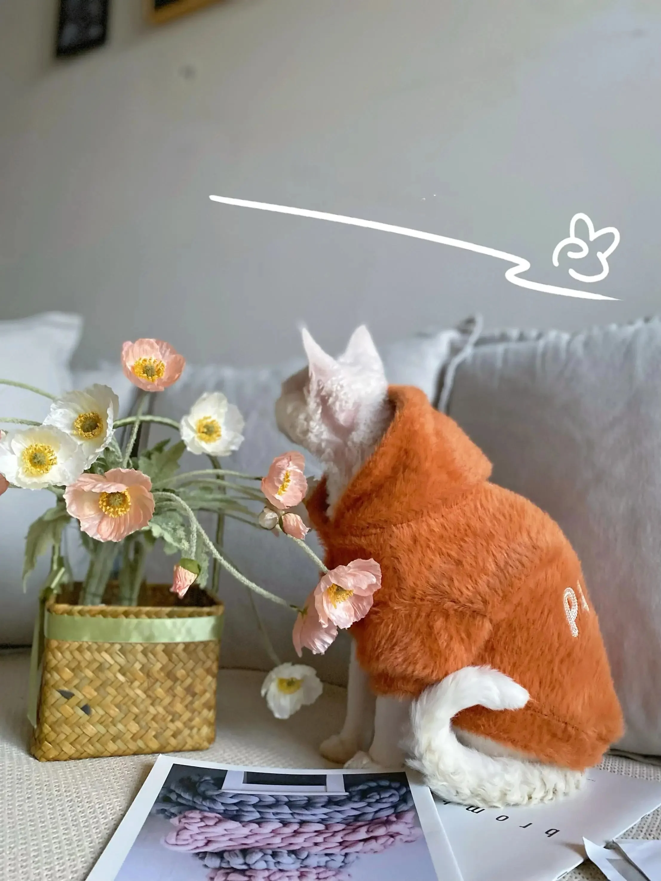 室内ペットの冬をどう過ごす？スフィンクス猫や小型犬にぴったりの秋冬用スウェットシャツがおすすめ